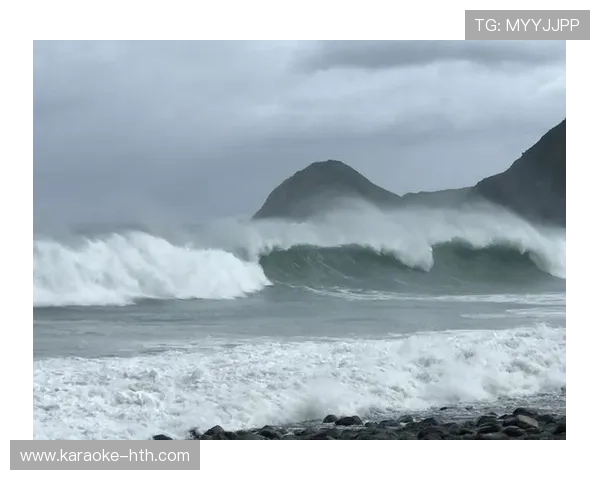 穿越海风与呐喊的布雷斯特球迷文化精神图景 穿越海风与呐喊的布雷斯特球迷文化精神图景